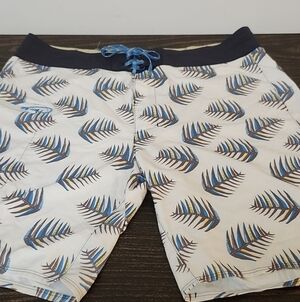 Patagonia Men's Size 36 Stretch Planing Board Surf  Swim Shorts